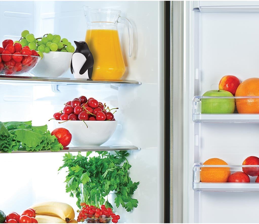 Дезодоратор для холодильника с – обзор и цена Kitchen Gadgets Holder